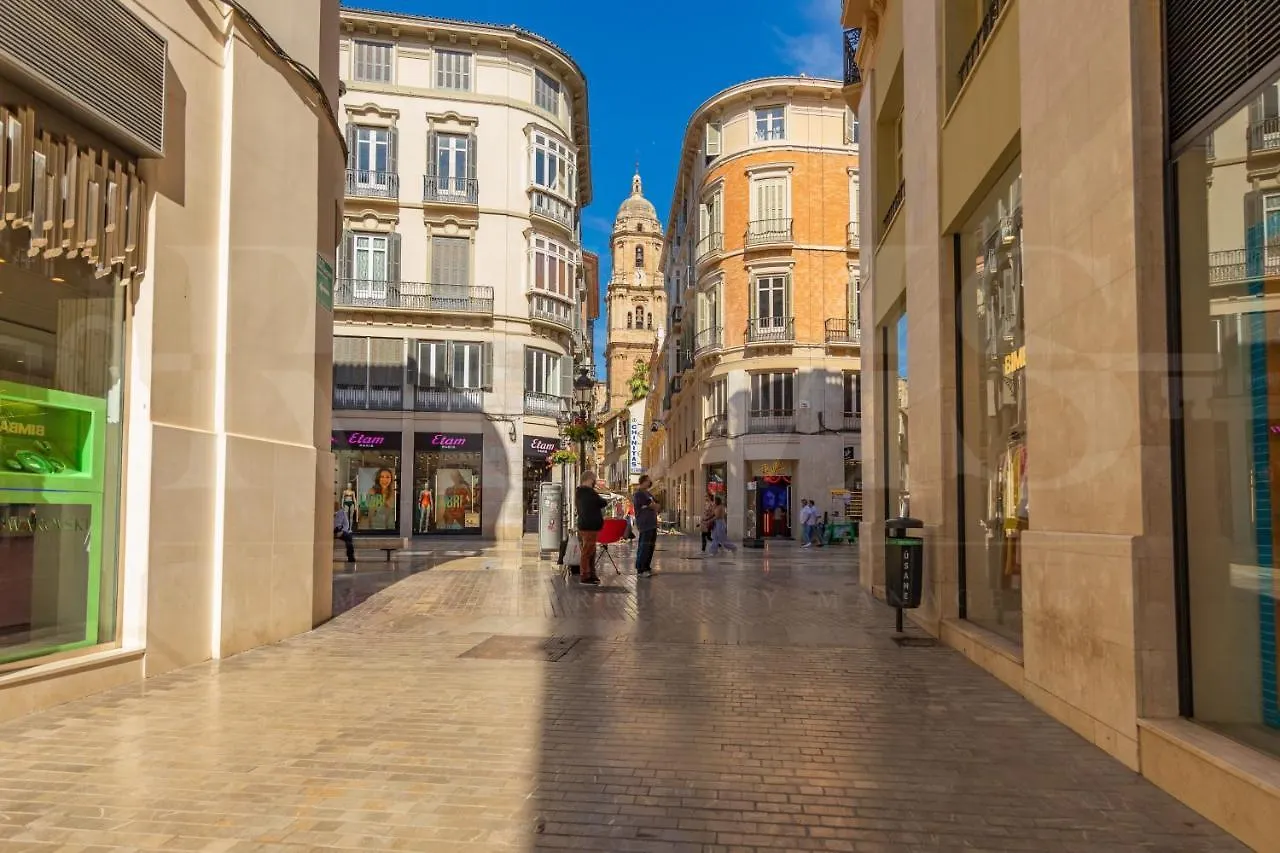 Cozy Apartment Near Plaza De La Merced By Rems Malaga